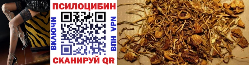 Псилоцибиновые грибы GOLDEN TEACHER Лукоянов